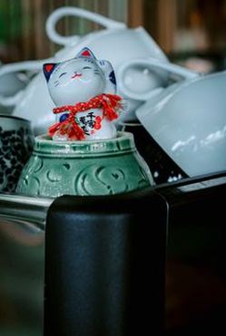sâm lốc Sodo